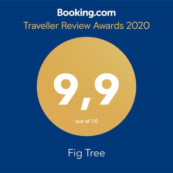 Fig Tree Apartment Povlja  Luaran gambar